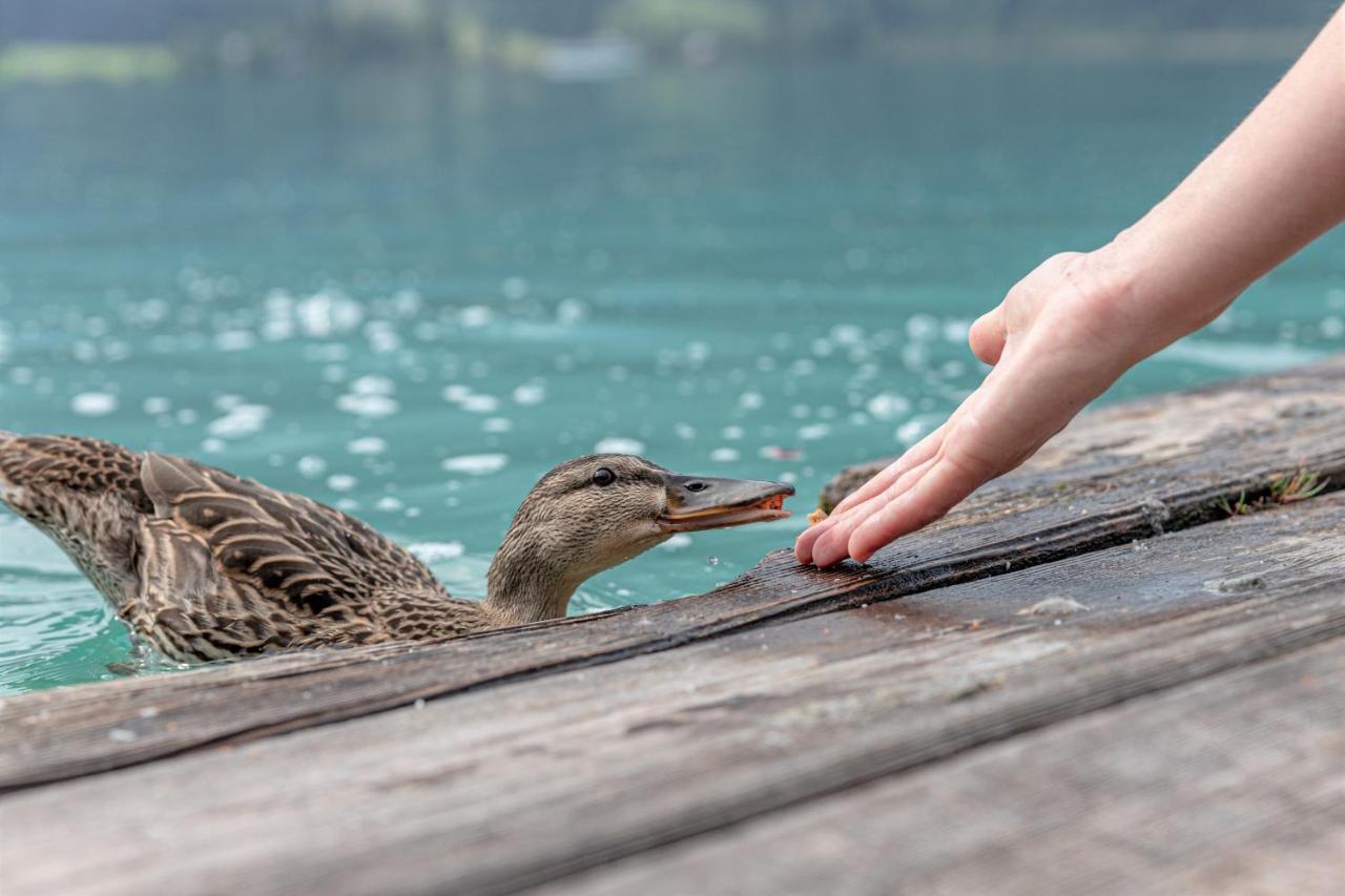 Die Weisse Wand Weissensee Kültér fotó